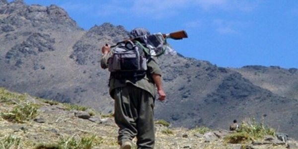 Hakkari'de bir terörist teslim oldu