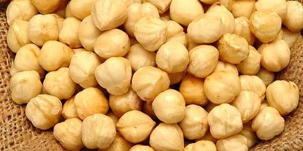 Fındık tarihi rekorunu kırdı