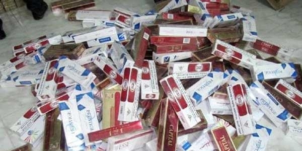 Ulusal Tütün Kontrol Programı Eylem Planı