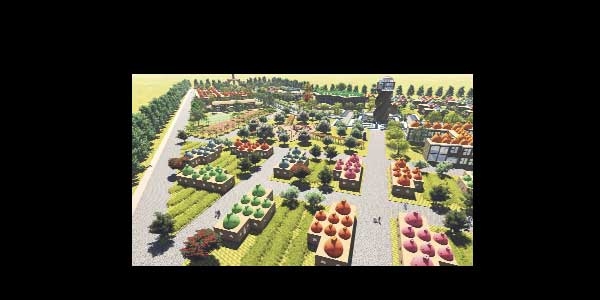 Şiddet mağduru kadınlara Harran'da köy kuruluyor