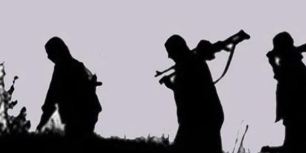 Silopi'de 7 terörist teslim oldu