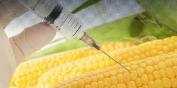 2025'te iki kişiden biri diyabet hastası olacak