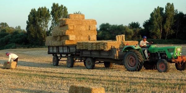 Bayraktar: 'Tarım, işsizliği 2,1 puan düşürdü'
