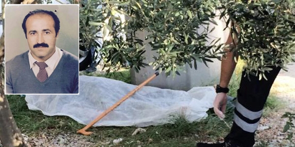 Ambulans şoförü ağacın altında kalıp öldü
