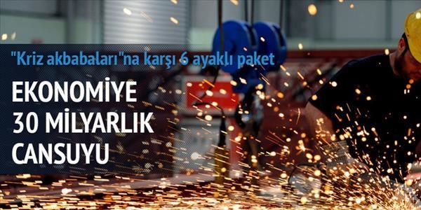 Kamu bankaları düşük faizli kredi verecek
