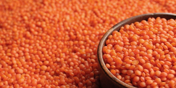 Bakanlık'tan GDO'lu Mercimek açıklaması