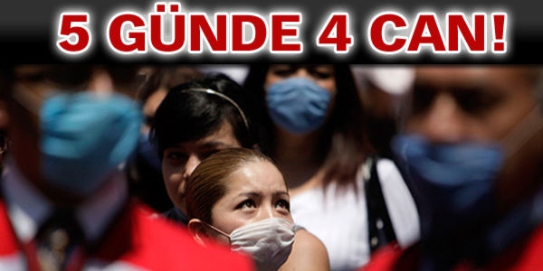 Türkiye'de domuz gribinden 11 kişi öldü