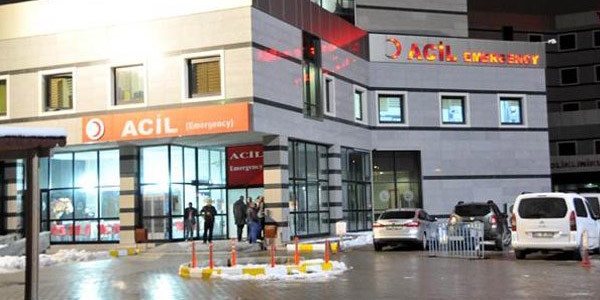 Van'da domuz gribi şüphesi