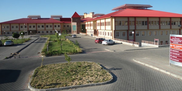 Bingöl'de domuz gribi endişesi