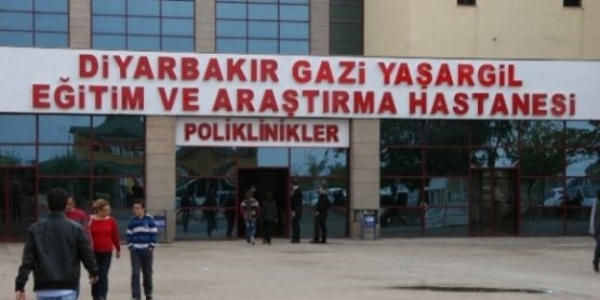 Diyarbakr'da domuz gribi alarm