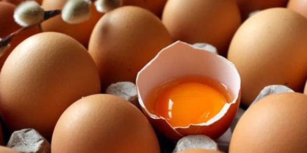 Yumurta zarı yaraları geçiriyor