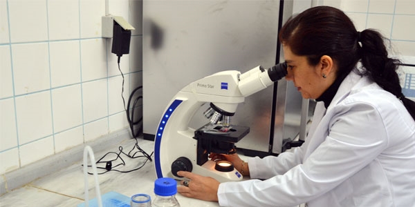 Diyabet hastaları, doktor kontrolünde bal yiyebilecek
