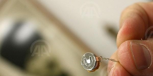 Böcek soruşturmasında zanlı Hamza T. adliyede