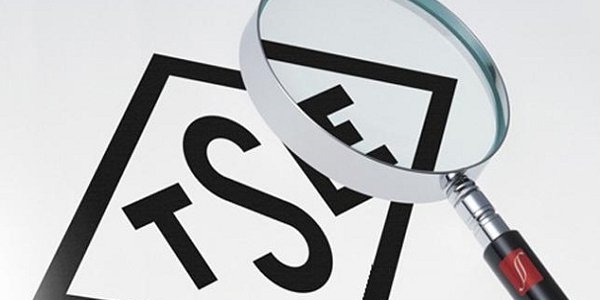 TSE, TANAP'a test ve muayene desteği verecek