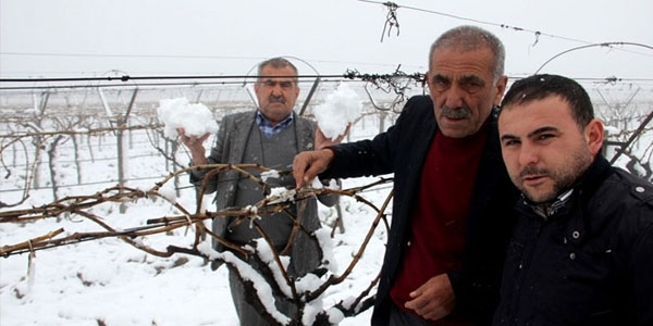 Meteoroloji'den zirai don uyarısı