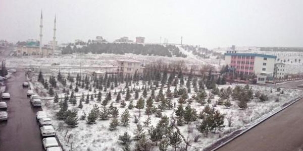 Ankara'da kar yağışı etkisini sürdürüyor