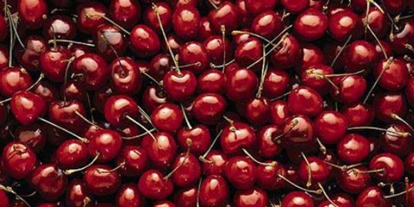 Kirazın kilosu 150 liradan alıcı buldu