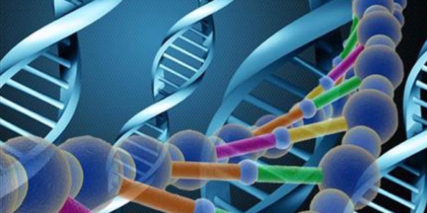 DNA yeniden yazıldı!
