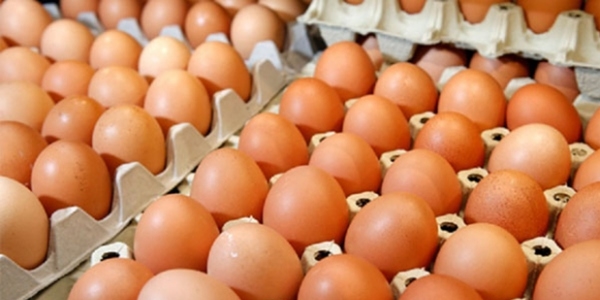 Yumurta kaliteli proteinde liste başı