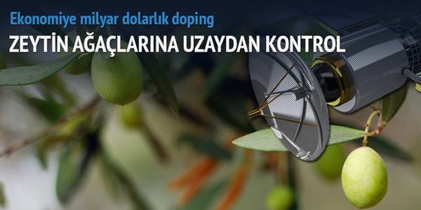 Ekonomiye milyarlık zeytin dopingi