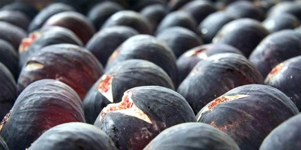 Üretici market fiyat farkında nisan ayında da incir başta