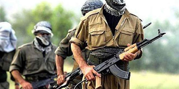 Şırnak'ta bir terörist teslim oldu
