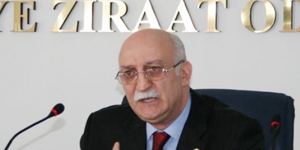 Soğuklardan bir çok meyve türü zarar gördü