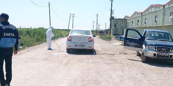 Bandırma'daki kuş gribi karantinası sürüyor