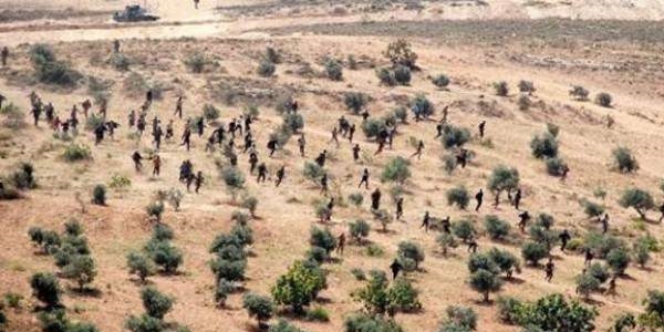 Terör örgütüne 1,2 milyar liralık darbe