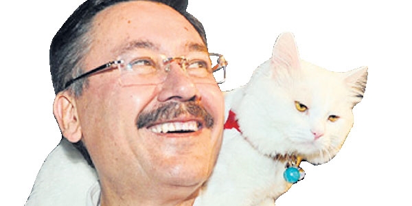 Melih Gökçek'in üç bıyıklı kedisine 2. ret