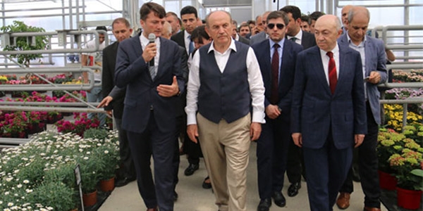 İBB, çöpten elde edilen enerji ile çiçek üretiyor