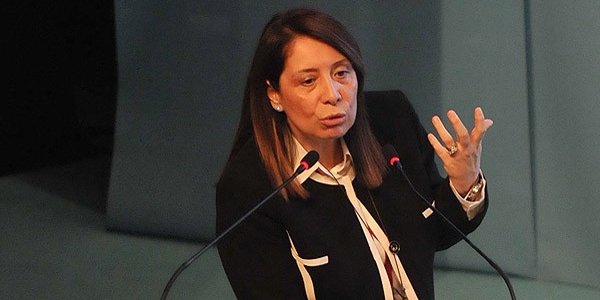 'Muhalefetin vaatlerini AK Parti yaptı'