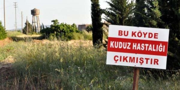Adıyaman'da kuduz hastalığı karantinası