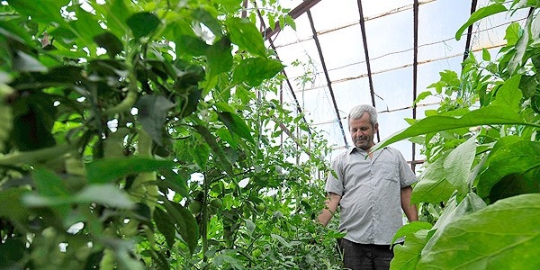Türkiye örtü altı tarımda dünya beşincisi
