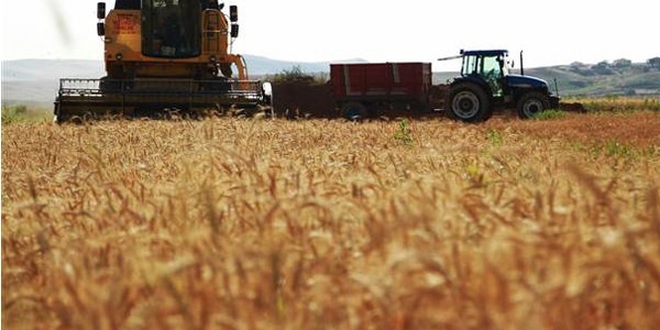 Küresel gıda fiyatları 6 yılın düşük düzeyine geriledi