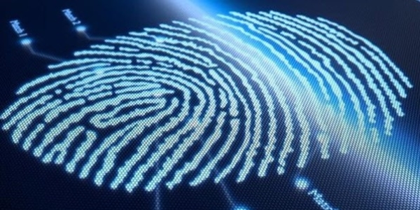 Parmak iziyle oy verilebilecek yazılım geliştirildi