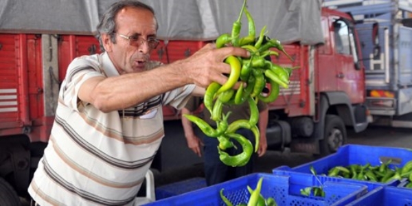 Domates ve biber fiyatı dibe vurdu