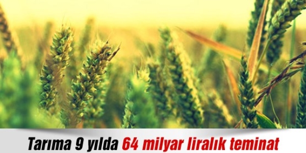 Tarıma 9 yılda 64 milyar liralık teminat
