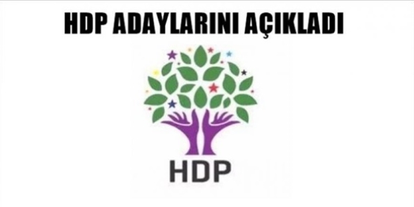 te il il HDP'nin yeni milletvekilleri