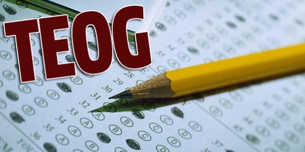 TEOG sınavına itiraz nasıl yapılacak?