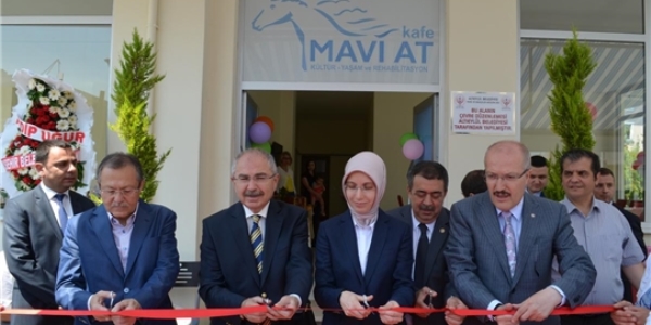 Şizofreni hastaları 'Mavi At' ile rehabilite edilecek