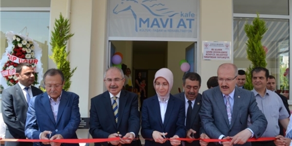 izofreni hastalar 'Mavi At' ile rehabilite edilecek