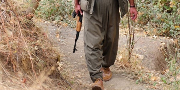 2 PKK'lı teslim oldu