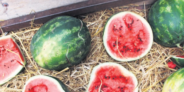 'Karpuz kabak tadı veriyor'