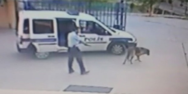 Komiser Yardımıcısı karakol bahçesinde köpek vurdu