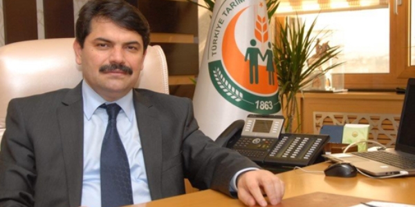Zeytinyağı alacaklar dikkat!
