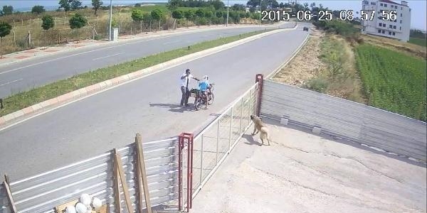 Tüfekle köpek öldürene 1002 lira para cezası