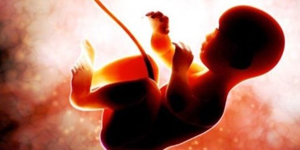 Göbek bağıyla egzama, eklem iltihabı ve saçkırana çözüm