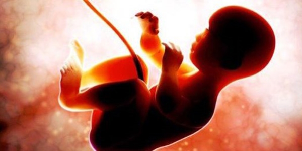 Göbek bağıyla egzama, eklem iltihabı ve saçkırana çözüm