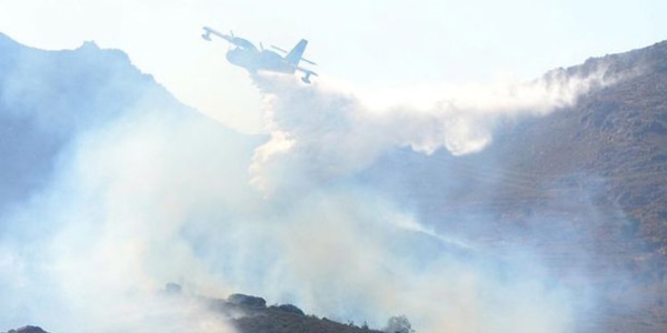 Bodrum'da makilik alanda yangn kt